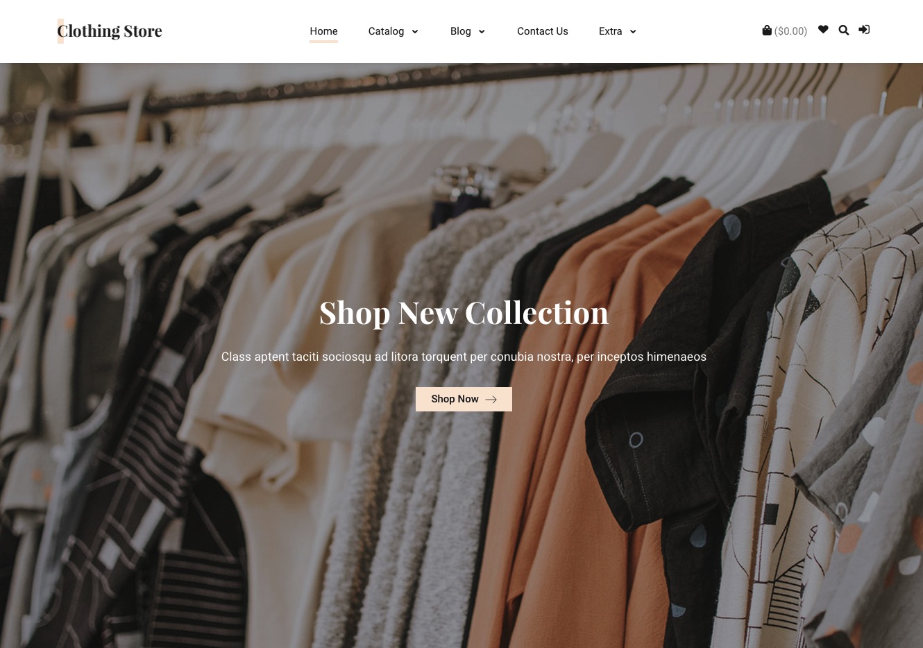 Clothing store template